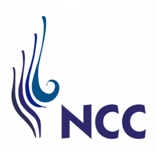 N.C.C. MANAGEMENT AND DEVELOPMENT CO., LTD.